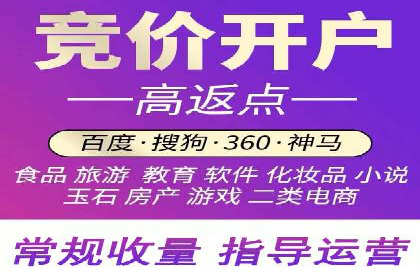 专业SEM服务托管方案案例分析